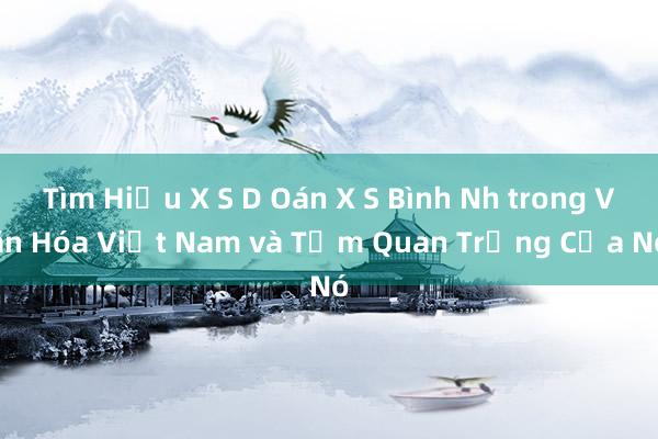 Tìm Hiểu X S D Oán X S Bình Nh trong Văn Hóa Việt Nam và Tầm Quan Trọng Của Nó