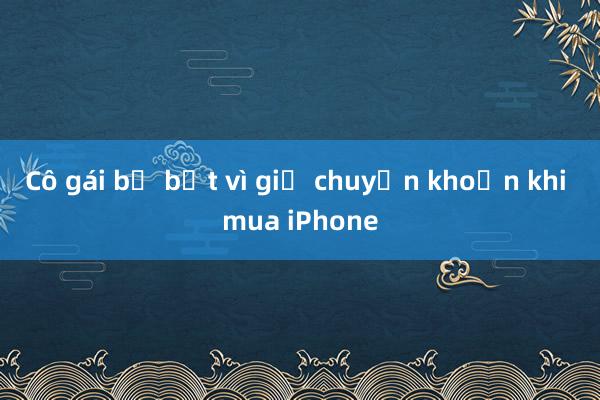 Cô gái bị bắt vì giả chuyển khoản khi mua iPhone