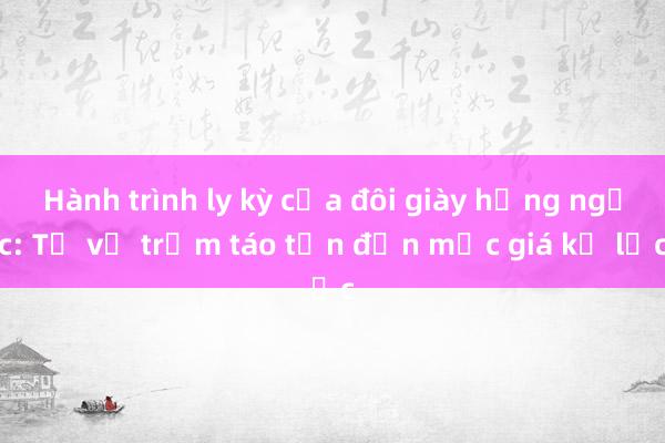 Hành trình ly kỳ của đôi giày hồng ngọc: Từ vụ trộm táo tợn đến mức giá kỷ lục