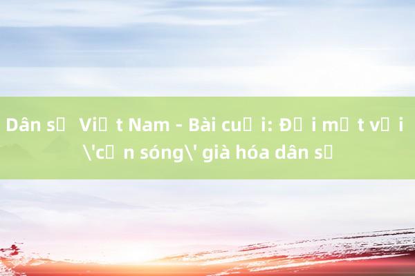 Dân số Việt Nam - Bài cuối: Đối mặt với 'cơn sóng' già hóa dân số