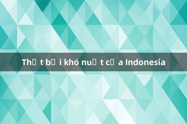 Thất bại khó nuốt của Indonesia