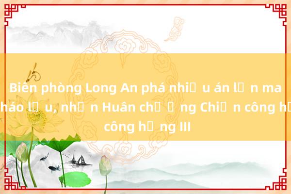 Biên phòng Long An phá nhiều án lớn ma túy， pháo lậu， nhận Huân chương Chiến công hạng III