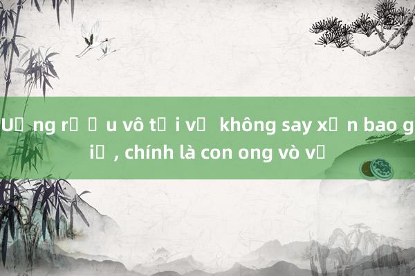 Uống rượu vô tội vạ không say xỉn bao giờ， chính là con ong vò vẽ