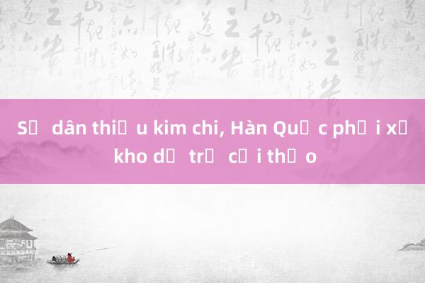 Sợ dân thiếu kim chi， Hàn Quốc phải xả kho dự trữ cải thảo