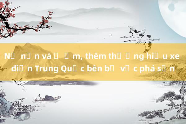 Nợ nần và ế ẩm， thêm thương hiệu xe điện Trung Quốc bên bờ vực phá sản